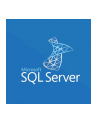 microsoft MS OPEN-GOV SQLSvrStdCore 2019 OLP 2Lic NL Gov CoreLic - nr 2