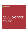 microsoft MS OPEN-GOV SQLSvrStdCore 2019 OLP 2Lic NL Gov CoreLic - nr 5