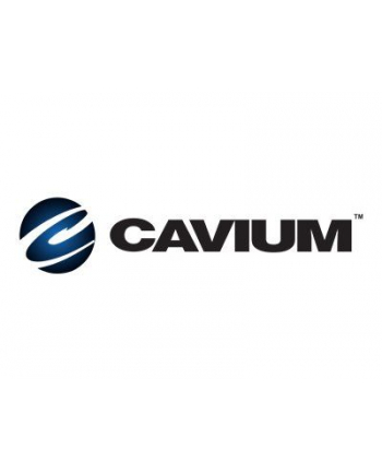 fujitsu technology solutions FUJITSU Cavium FastLinQ QL41132HLCU 10GbE SFP+ Dual Port Ethernet LAN adapter PCIe 3.0 x8