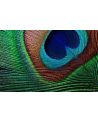 epson Projektor EH-TW7000 3LCD/4K UHD/3000AL/40k:1/16:9 - nr 77