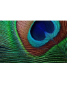 epson Projektor EH-TW7000 3LCD/4K UHD/3000AL/40k:1/16:9 - nr 99