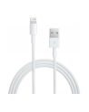 apple Lightning to USB Cable (05 m) - nr 4
