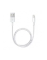 apple Lightning to USB Cable (05 m) - nr 8