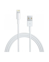 apple Lightning to USB Cable (05 m) - nr 1
