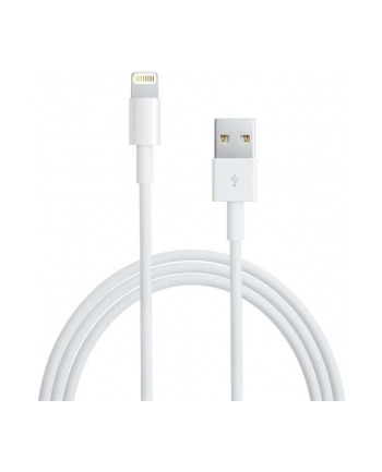 apple Lightning to USB Cable (05 m)