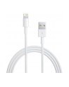 apple Lightning to USB Cable (05 m) - nr 7