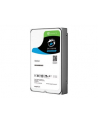 Dysk SEAGATE ST6000VX001 SkyHawk™ 6TB 256MB SATA III - nr 5