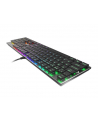 Klawiatura przewodowa Genesis Thor 420 Gaming Outemu Blue podświetlenie RGB srebrna - nr 12