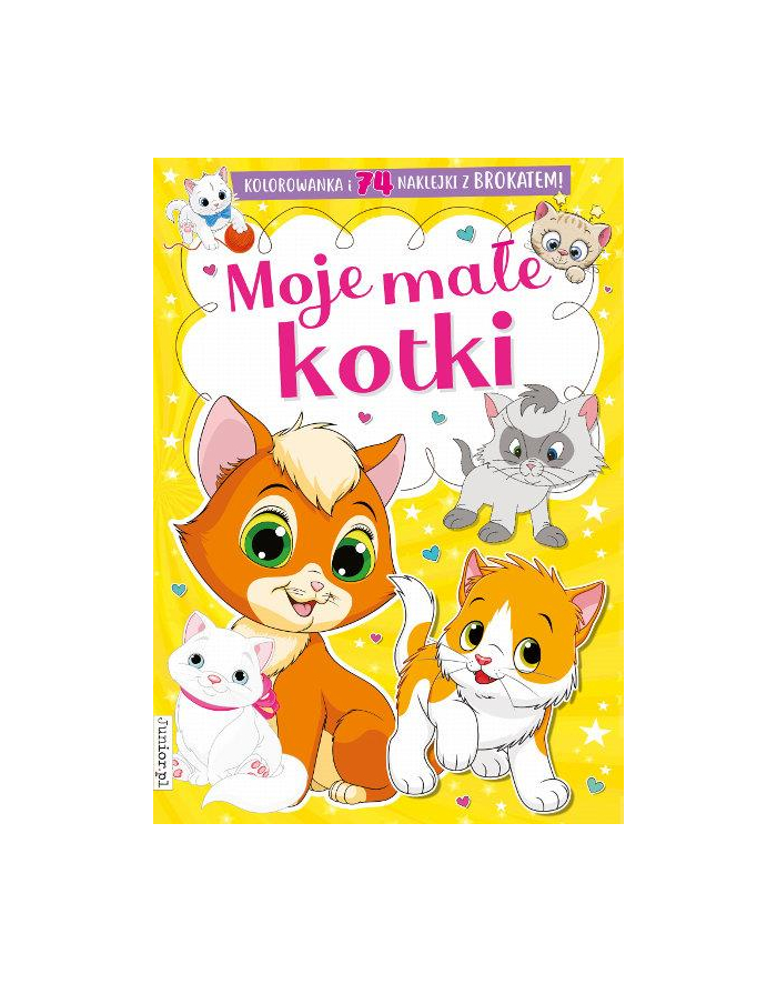 booksandfun Kolorowanka z naklejkami Moje małe kotki główny