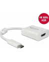 DeLOCK USB adapter C> HDMI 4K 60Hz with HDR function (white, 10cm) - nr 1