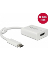 DeLOCK USB adapter C> HDMI 4K 60Hz with HDR function (white, 10cm) - nr 5