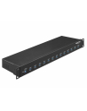 DeLOCK 19 ''Industrial Hub 13 x USB 3.1 Gen 1 type A, USB hub - nr 2