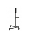newstar Stojak podłogowy NS-M1250BLACK - nr 79
