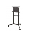 newstar Stojak podłogowy NS-M1250BLACK - nr 80