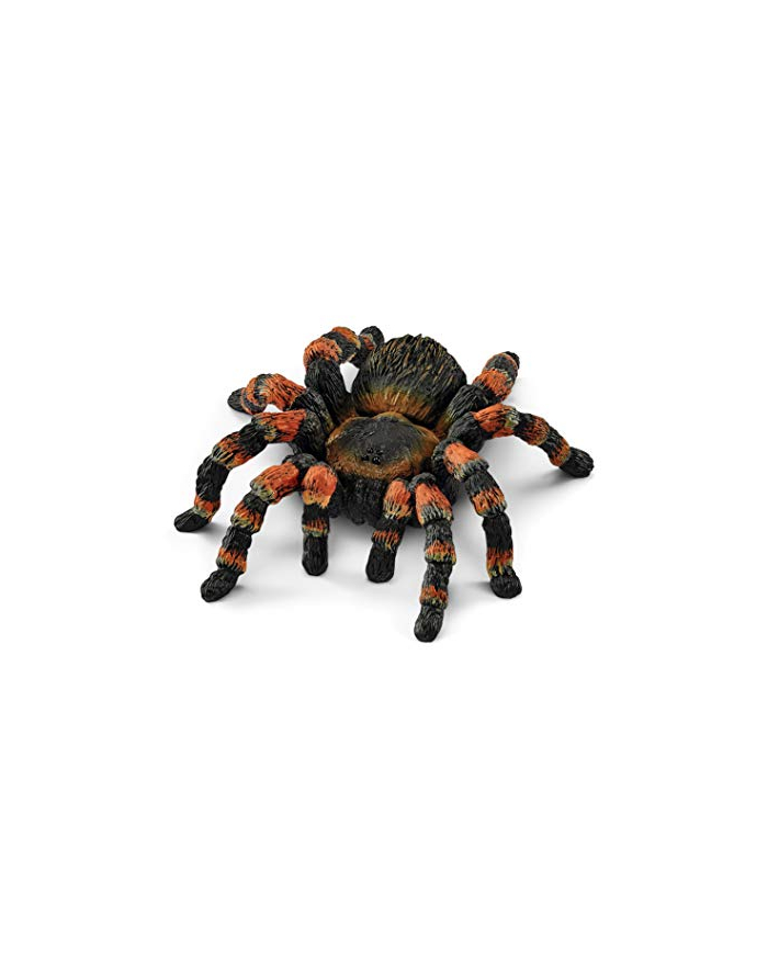 Schleich Wild Life tarantula - 14829 główny