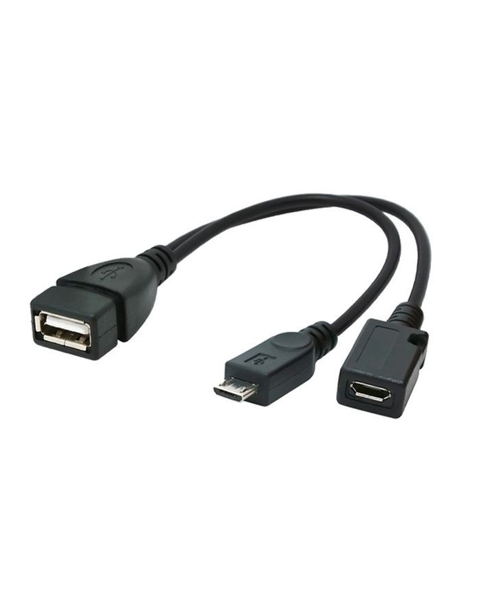 gembird KABEL USB MICRO AF-BM+(F) USB 2.0 OTG 15CM główny