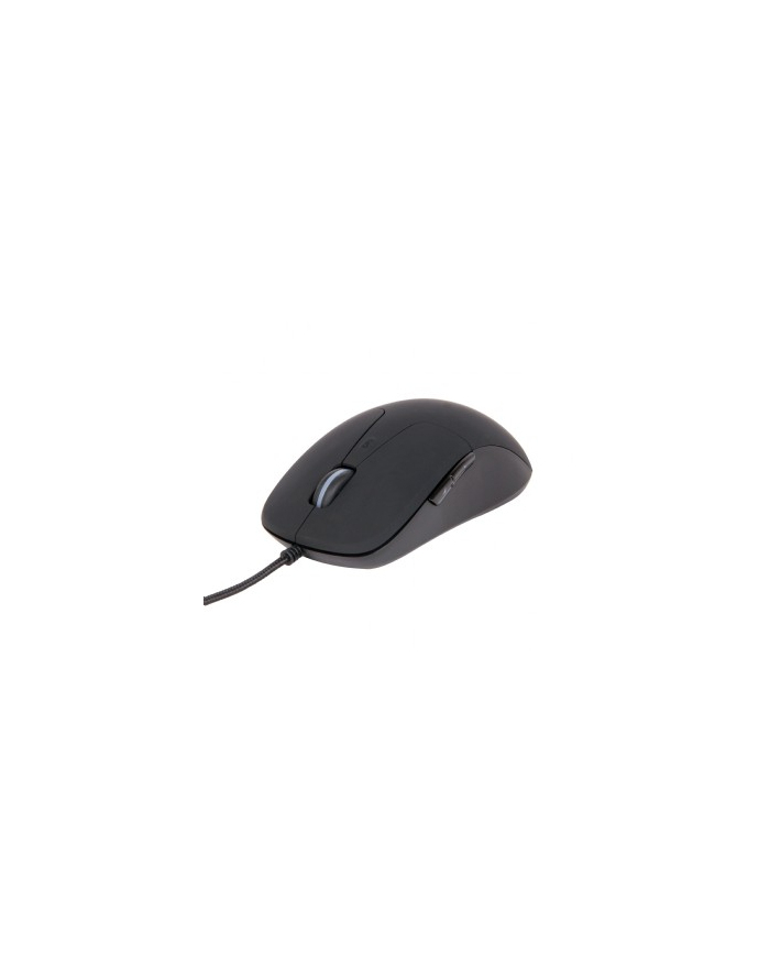 gembird Mysz optyczna USB czarna (MUS-UL-01) główny