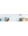 aoc Monitor 22B2H 21.5 VA HDMI - nr 62