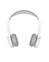 CISCO 730 WIRELESS DUAL ON EAR HEADSET USB A BUNDLE PLATINUM - nr 1