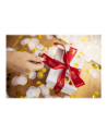 BROTHER P-Touch 24mm wind red/gold ribbon tape - nr 20