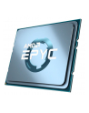 Procesor AMD EPYC 7232P 100-100000081WOF (8 Core; 16 Threads; SP3; Up to 32GHz; BOX; WOF) - nr 1