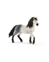 Schleich Andalusian stallion - 13821 - nr 1