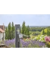 GARDENA Irrigation Control Master (anthracite / gray) - nr 11
