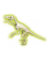 Clementoni Skamieniałości Welociraptor fluorescencyjny 50639 - nr 4