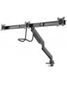 newstar Uchwyt biurkowy potrójny NM-D775DX3BLACK - nr 59