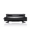 Noctua NH-L9A-AM4 chromax.black (black) - nr 15