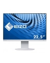 EIZO EV2360-WT - 22.8 - LED (white, WUXGA, IPS, HDMI, 60 Hz) - nr 81