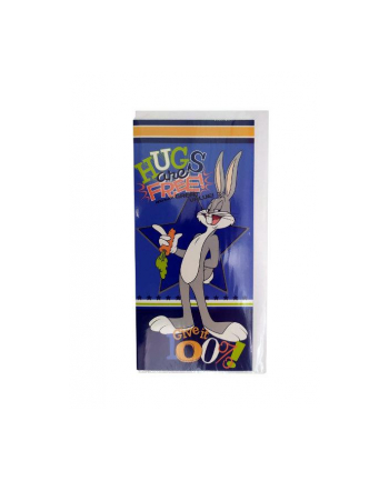 PROMO Karnet szafirowy Luoney Tunes p5 VERTE cena za 1 sztukę
