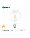 osram LEDVANCE Smart + Fil Globe DIM E27 ZIB / BLE - HomeKit - nr 1