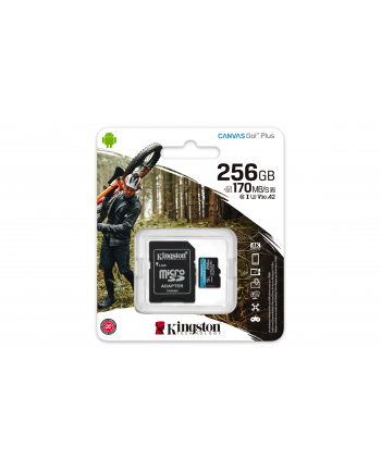 Kingston Canvas Go! Plus 256 GB microSDXC, memory card (black, UHS-I (U3), A2, Class 10, V30)