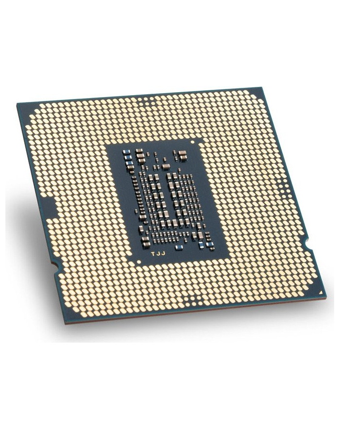 Intel Core i5-10600 3300 - Socket 1200 - processor - BOX główny