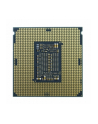 Intel Celeron G5900 - Socket 1200 - processor - tray - nr 20