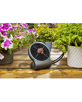 GARDENA Solar Irrigation aquaBloom Set, automatic irrigation system (gray, for up to 20 plants)