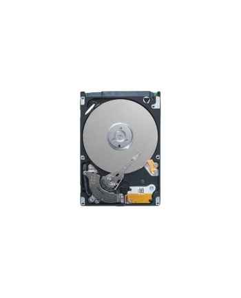 DELL 2TB 7.2K RPM NLSAS 12Gbps 512n 3.5in Hot Plug 14gen TOWER