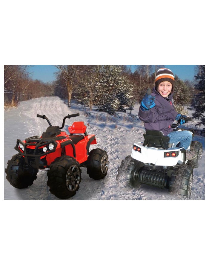 JAMARA Ride-on Protector Quad 12V 460248 główny