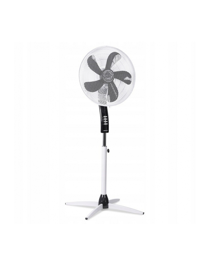 BLAUPUNKT STAND FAN główny