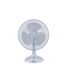 BLAUPUNKT TABLE FAN - nr 1