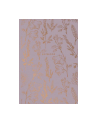 astra Brulion A5 80k kratka kremowy papier, '';Gold''; 101020030 - nr 1