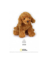 dante Pies Australijski Cobber - Labradoodle pluszowy 70680 - nr 1