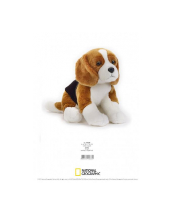 dante Pies Beagle pluszowy 70688
