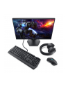 dell Monitor S2421HGF  23,8' AMD FreeSync Premium TN LCD Full HD (1920x1080)/16:9/2xHDMI/DP/3Y PPG - nr 30
