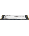 patriot Dysk SSD 256GB Viper P300 1700/1100 PCIe M.2 2280 - nr 6