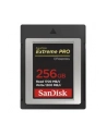 SANDISK Extreme Pro 256GB CFexpress Card SDCFE 1700MB/s R 1200MB/s W 4x6 - nr 21