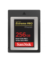 SANDISK Extreme Pro 256GB CFexpress Card SDCFE 1700MB/s R 1200MB/s W 4x6 - nr 11