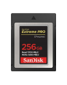 SANDISK Extreme Pro 256GB CFexpress Card SDCFE 1700MB/s R 1200MB/s W 4x6 - nr 1