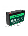 GREEN CELL Battery AGM 6V12AH - nr 22